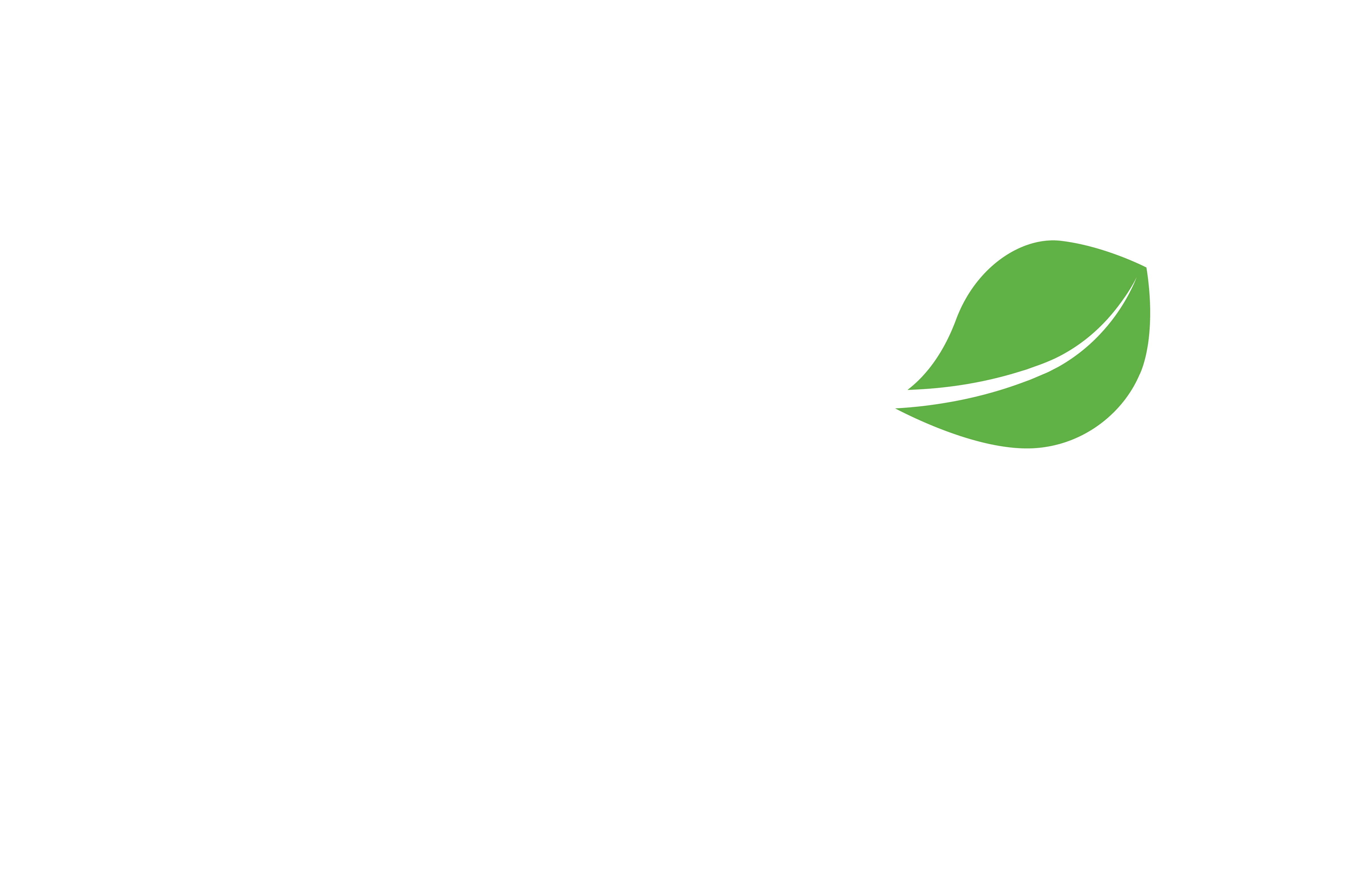 Betânia YoBem